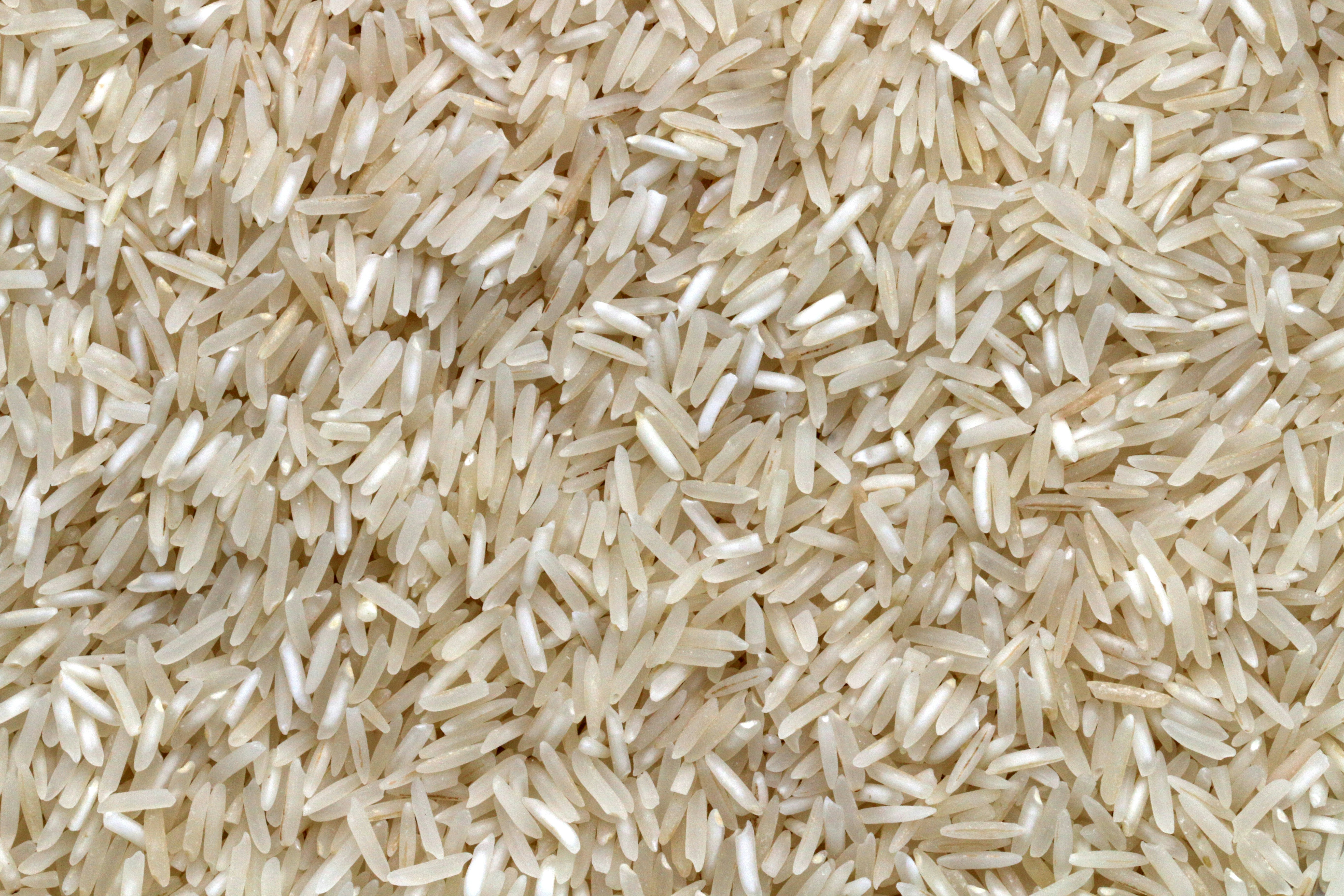 Chinnor Rice